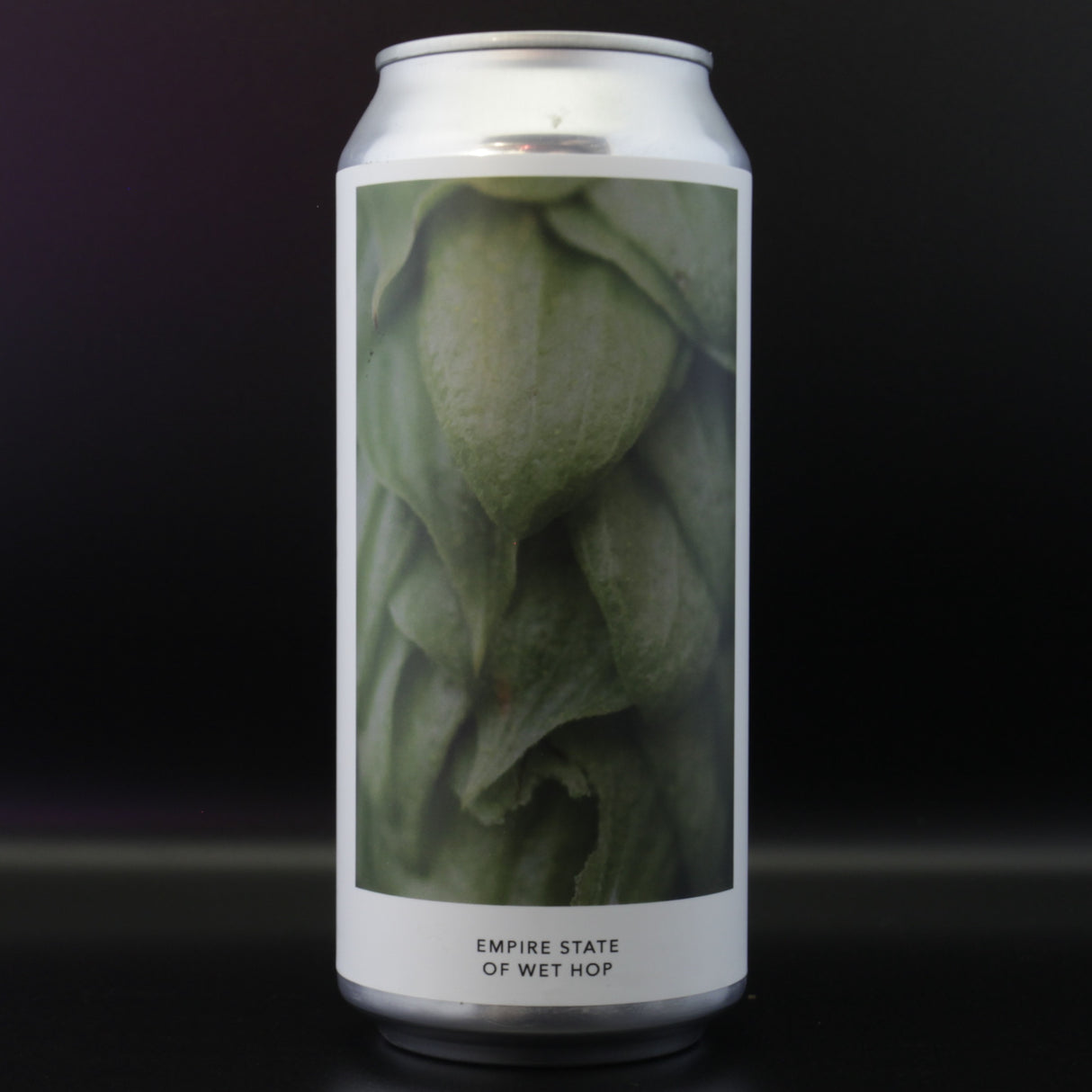 This is a can of Evil Twin - Empire State Of Wet Hop - 6% (473ml). It is a IPA craft beer available to buy from Ghost Whale, voted London's best craft beer shop.
