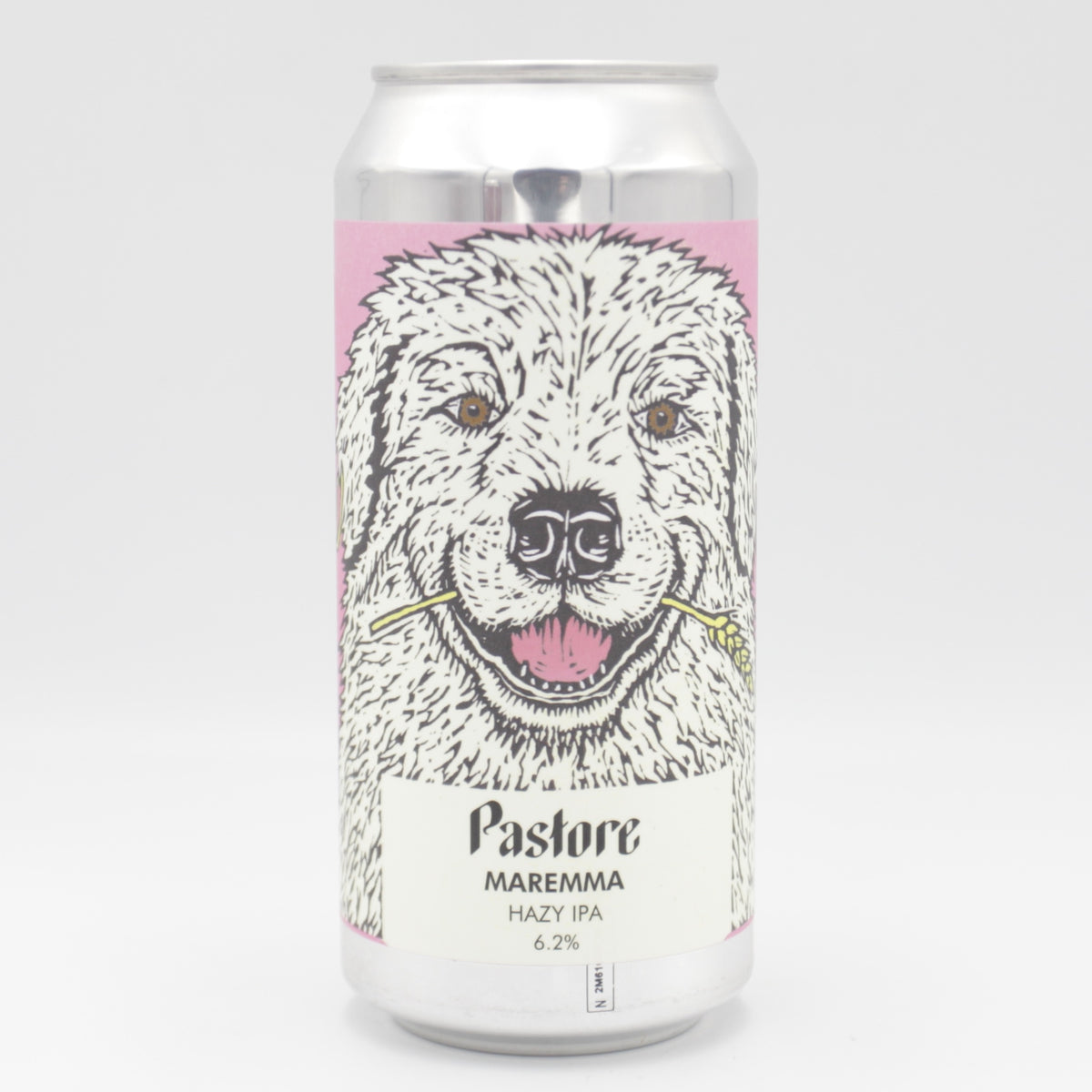 This is a can of Pastore - Maremma - 6.2% (440ml). It is a IPA craft beer available to buy from Ghost Whale, voted London's best craft beer shop.