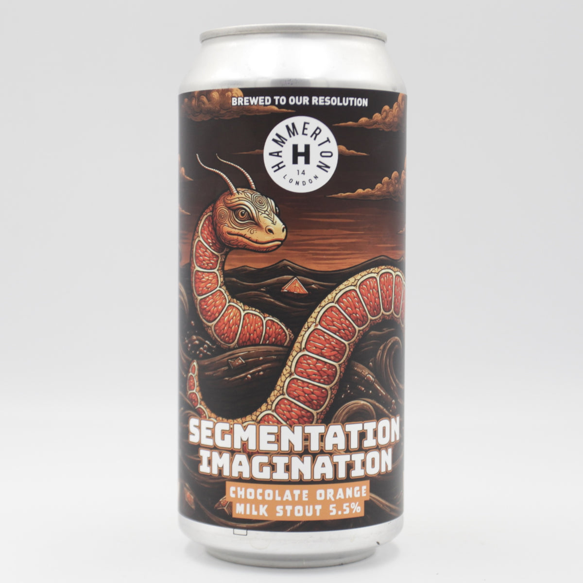This is a can of Hammerton - Segmentation Imagination - 5.5% (440ml). It is a Stout / Porter craft beer available to buy from Ghost Whale, voted London's best craft beer shop.