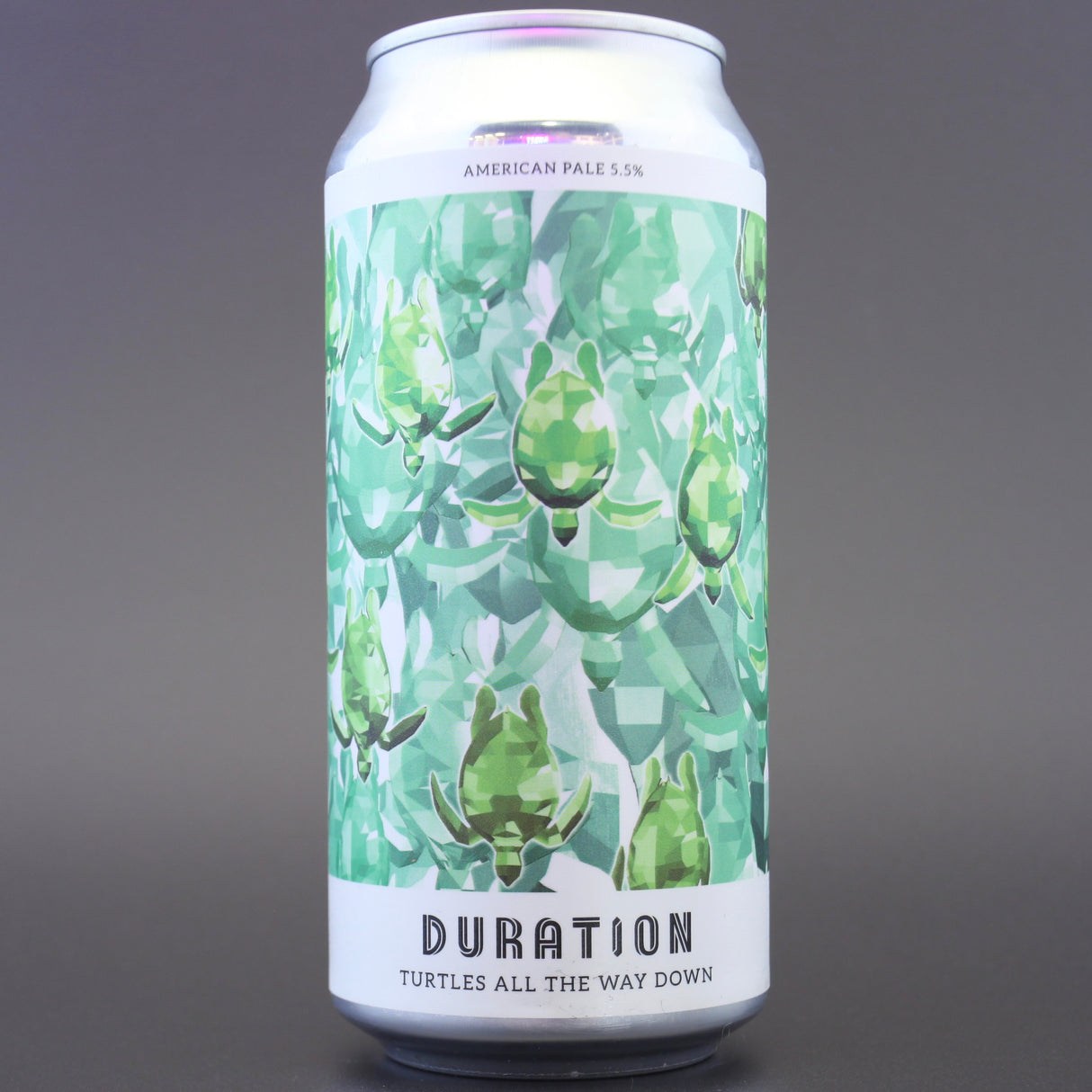 This is a can of Duration - Turtles All The Way Down - 5.5% (440ml). It is a IPA craft beer available to buy from Ghost Whale, voted London's best craft beer shop.
