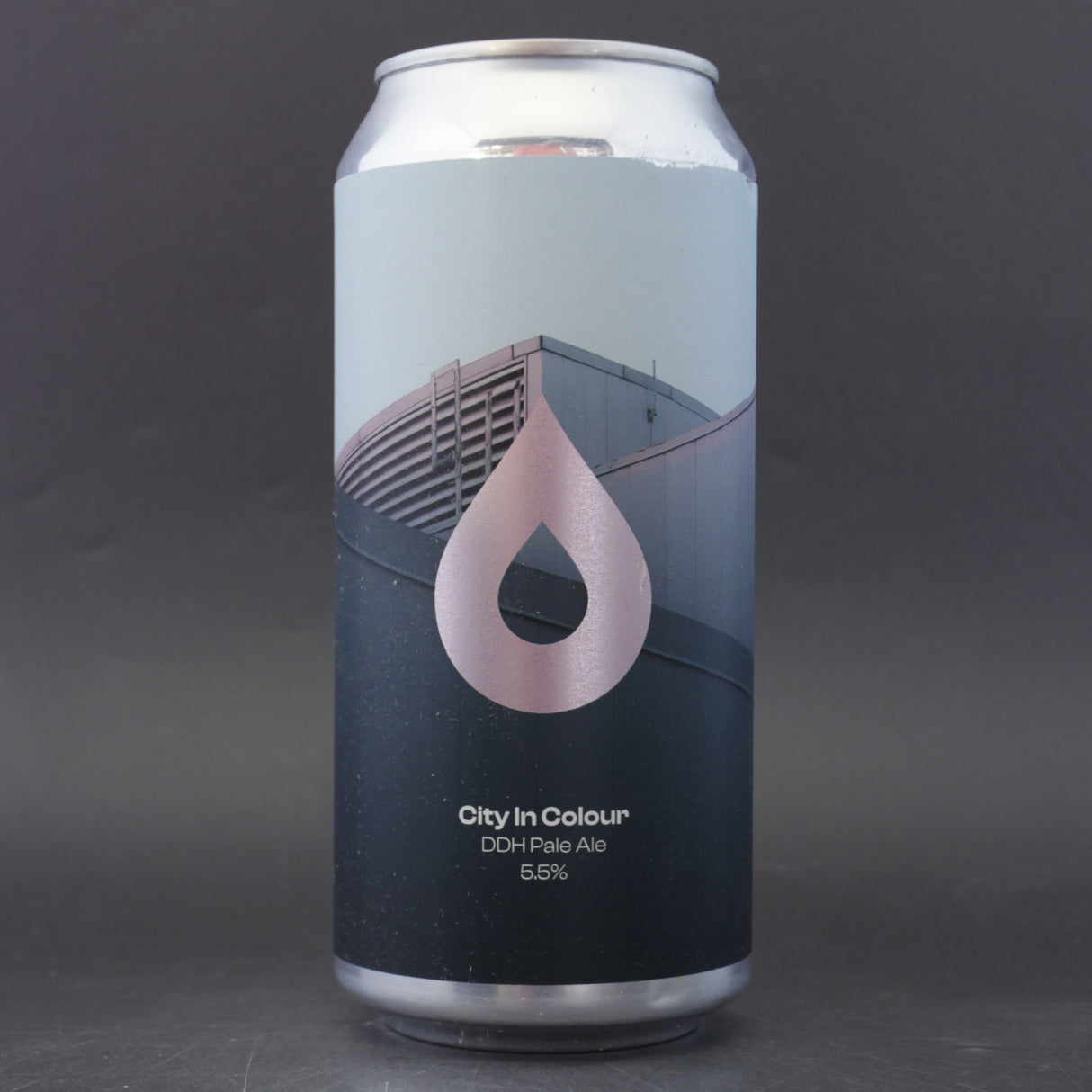 This is a can of Polly's Brew Co - City In Colour - 5.5% (440ml). It is a IPA craft beer available to buy from Ghost Whale, voted London's best craft beer shop.