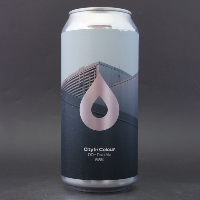 This is a can of Polly's Brew Co - City In Colour - 5.5% (440ml). It is a IPA craft beer available to buy from Ghost Whale, voted London's best craft beer shop.
