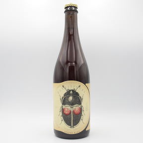 This is a sharing bottle of Jester King - Detrivore - 5.5% (750ml). It is a Wild Ale craft beer available to buy from Ghost Whale, voted London's best craft beer shop.
