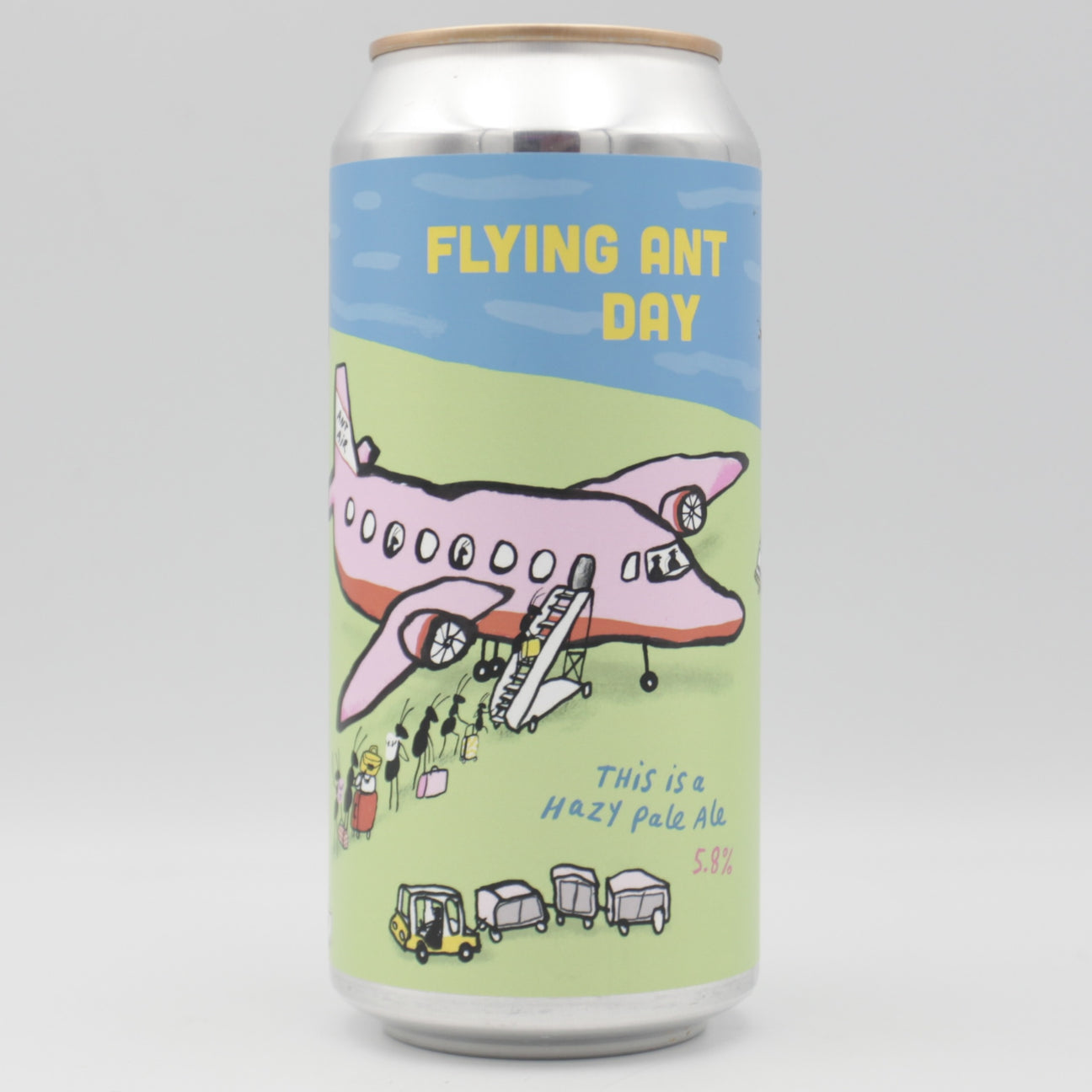 This is a can of Pretty Decent - Flying Ant Day - 5.8% (440ml). It is a Pale Ale craft beer available to buy from Ghost Whale, voted London's best craft beer shop.