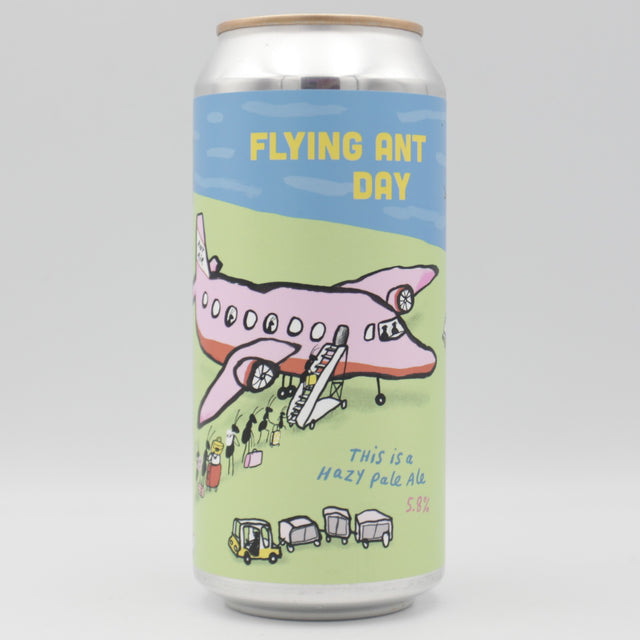 This is a can of Pretty Decent - Flying Ant Day - 5.8% (440ml). It is a Pale Ale craft beer available to buy from Ghost Whale, voted London's best craft beer shop.