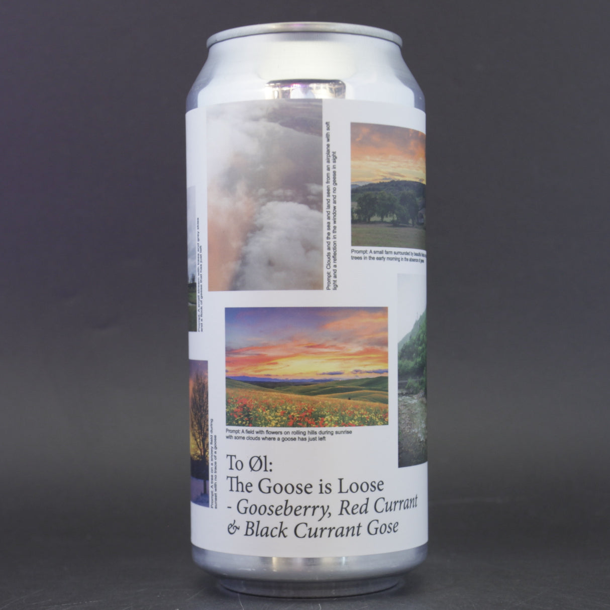 This is a can of To Øl - The Goose Is Loose - 4.2% (440ml). It is a Gose craft beer available to buy from Ghost Whale, voted London's best craft beer shop.