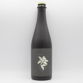 This is a bottle of 3 Sons - Fractional BA Vanilla Bean Dream - 13.7% (500ml). It is a Imperial Stout / Porter craft beer available to buy from Ghost Whale, voted London's best craft beer shop.