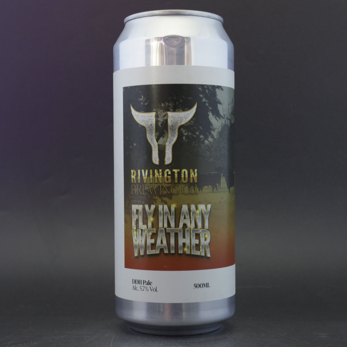 This is a can of Rivington - Fly In Any Weather - 5.7% (500ml). It is a Pale Ale craft beer available to buy from Ghost Whale, voted London's best craft beer shop.