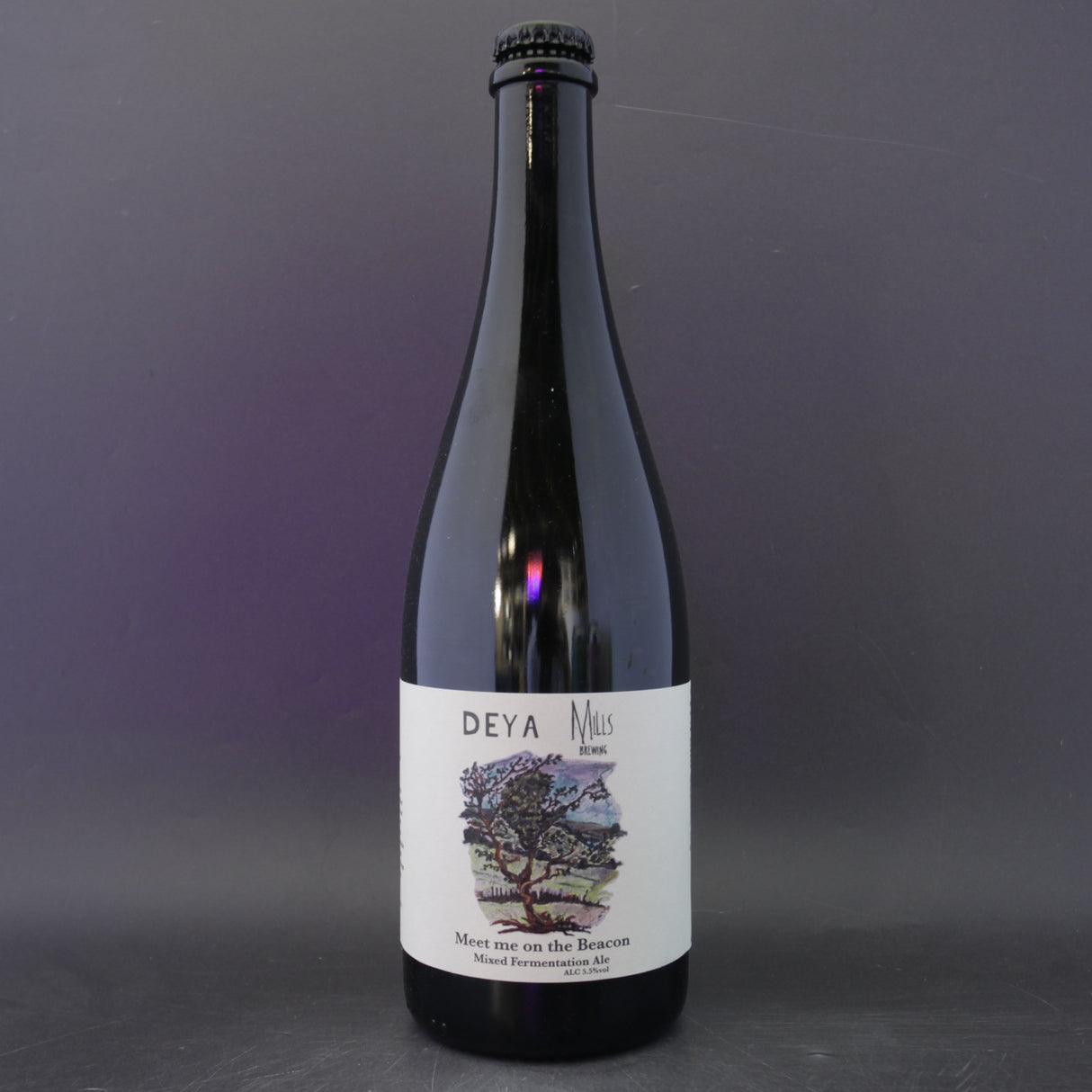 This is a sharing bottle of DEYA / Mills Brewing - Meet Me On The Beacon - 5.5% (750ml). It is a Wild Ale craft beer available to buy from Ghost Whale, voted London's best craft beer shop.