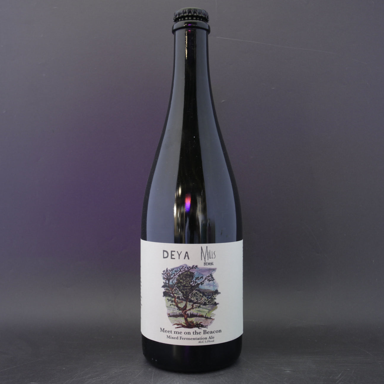 This is a sharing bottle of DEYA / Mills Brewing - Meet Me On The Beacon - 5.5% (750ml). It is a Wild Ale craft beer available to buy from Ghost Whale, voted London's best craft beer shop.