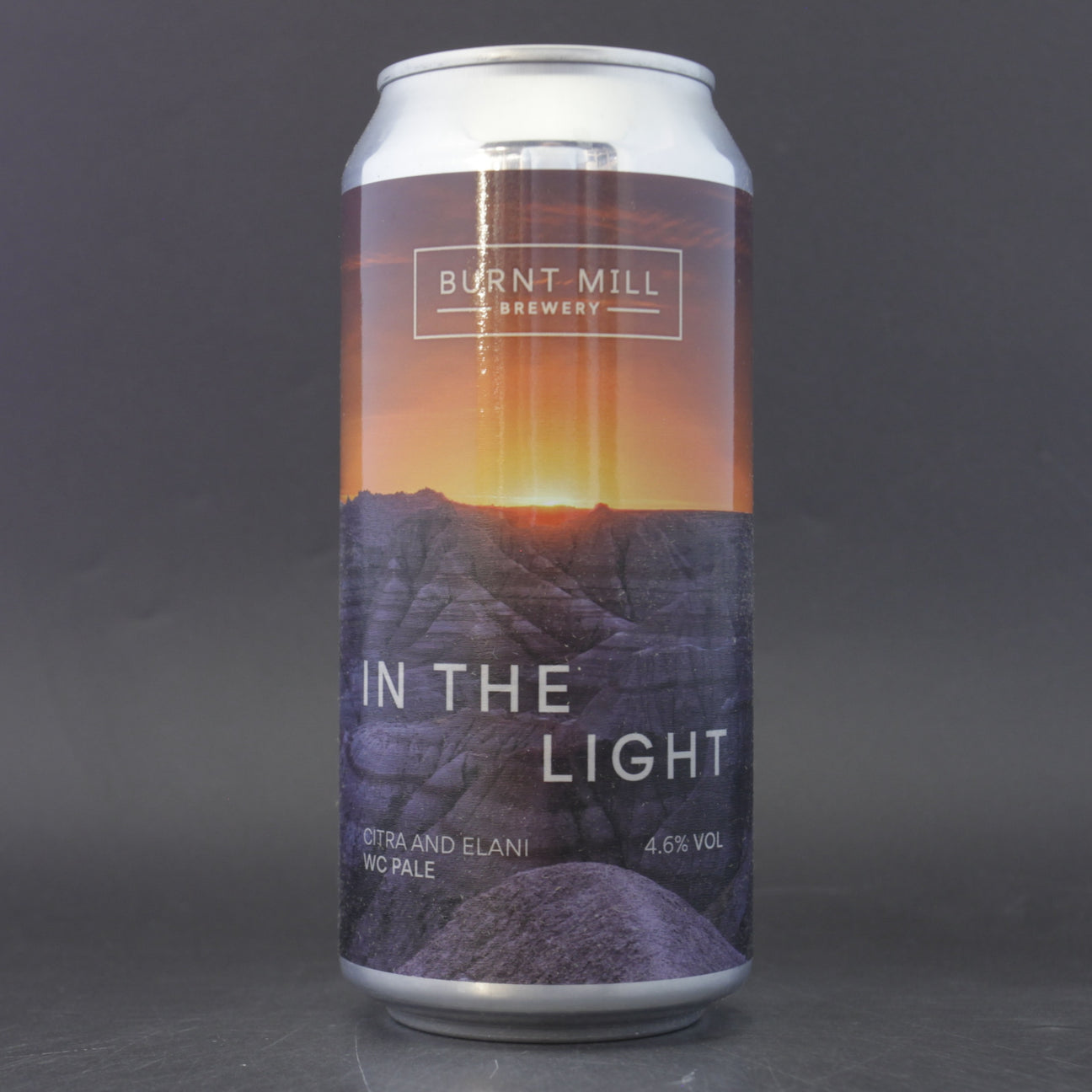 This is a can of Burnt Mill - In The Light - 4.6% (440ml). It is a Pale Ale craft beer available to buy from Ghost Whale, voted London's best craft beer shop.