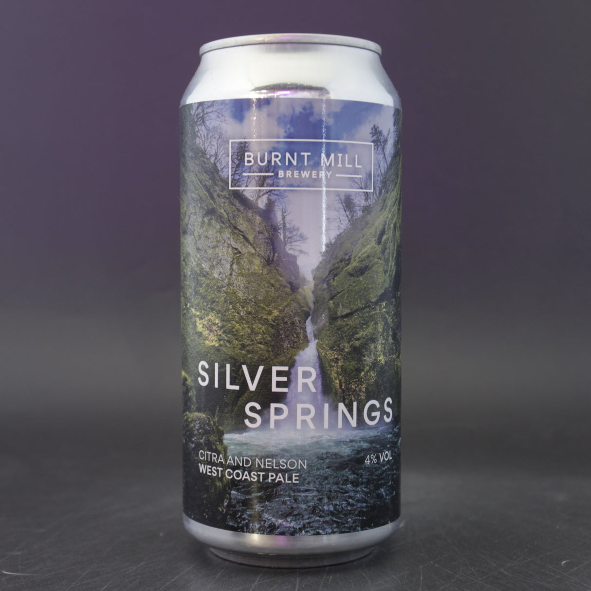 This is a can of Burnt Mill - Silver Springs - 4% (440ml). It is a Pale Ale craft beer available to buy from Ghost Whale, voted London's best craft beer shop.