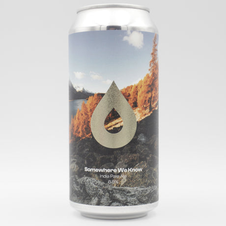 This is a can of Polly's Brew Co - Somewhere We Know - 6.8% (440ml). It is a IPA craft beer available to buy from Ghost Whale, voted London's best craft beer shop.