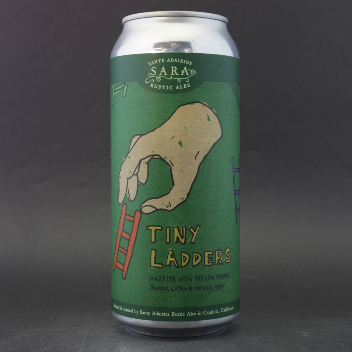This is a can of Sante Adairius - Tiny Ladders - 6.4% (473ml). It is a IPA craft beer available to buy from Ghost Whale, voted London's best craft beer shop.