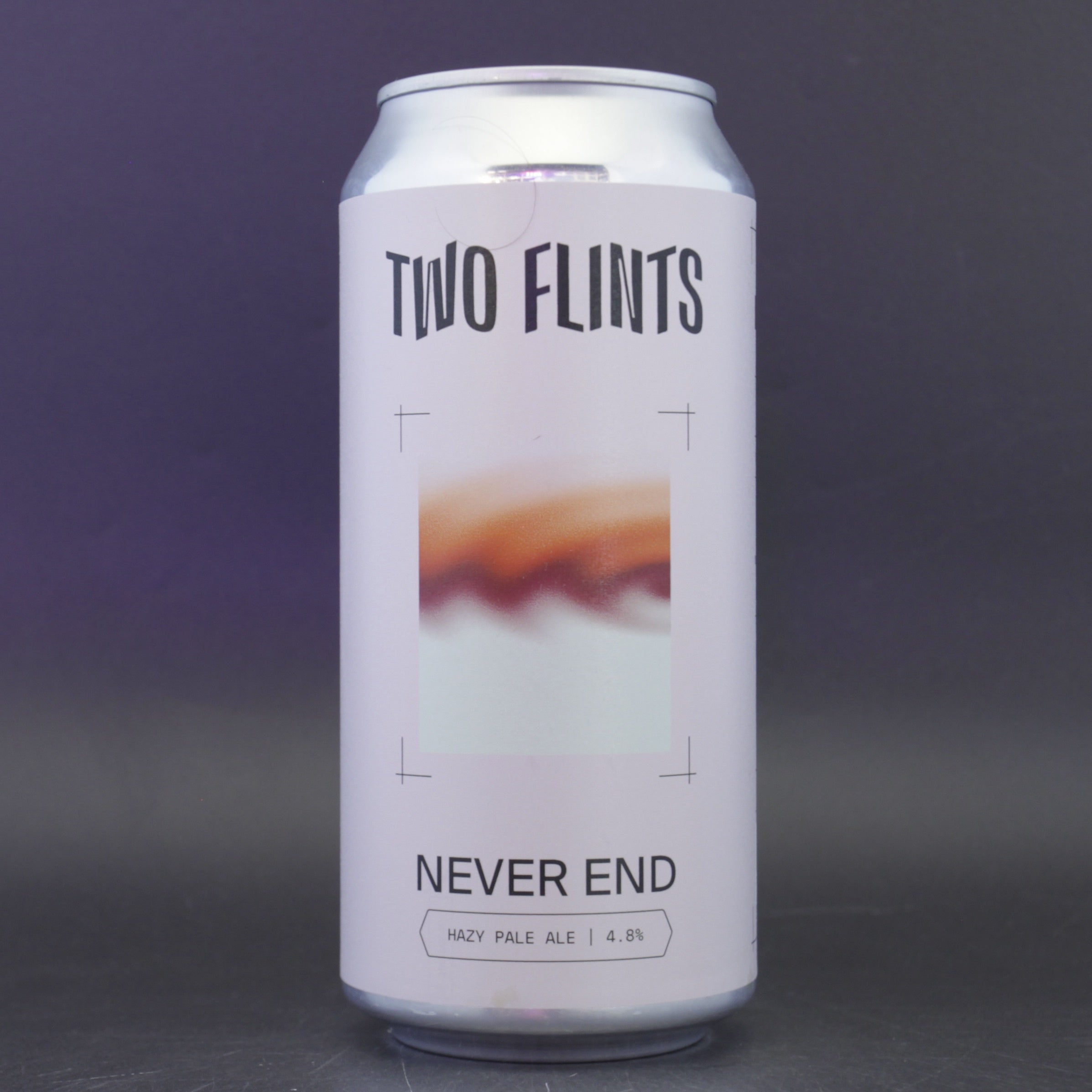 Two Flints - Never End - 4.8% (440ml) - Ghost Whale