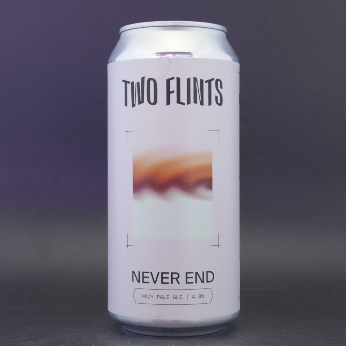 This is a can of Two Flints - Never End - 4.8% (440ml). It is a Pale Ale craft beer available to buy from Ghost Whale, voted London's best craft beer shop.