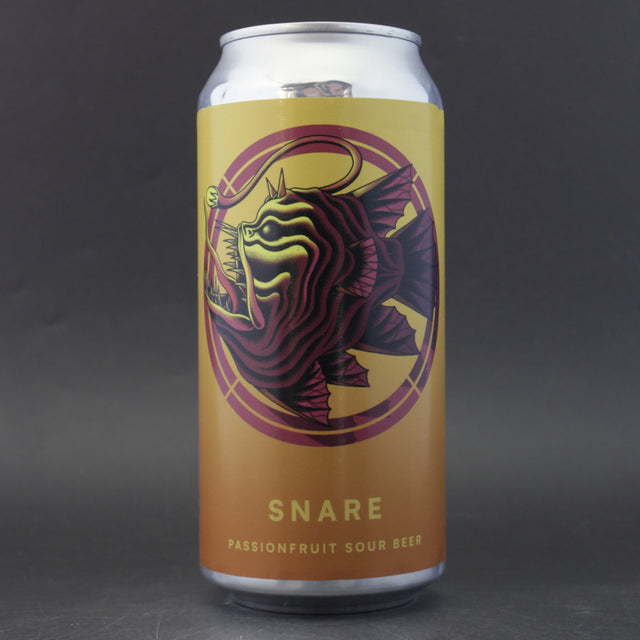 This is a can of Otherworld - Snare - 7.5% (440ml). It is a Sour craft beer available to buy from Ghost Whale, voted London's best craft beer shop.