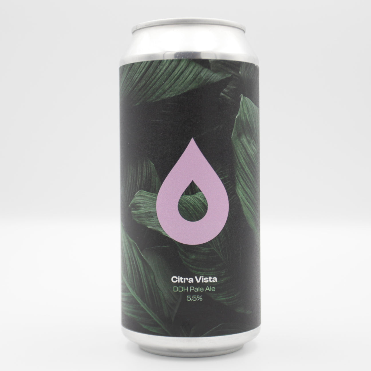 This is a can of Polly's Brew Co - Citra Vista - 5.5% (440ml). It is a Pale Ale craft beer available to buy from Ghost Whale, voted London's best craft beer shop.