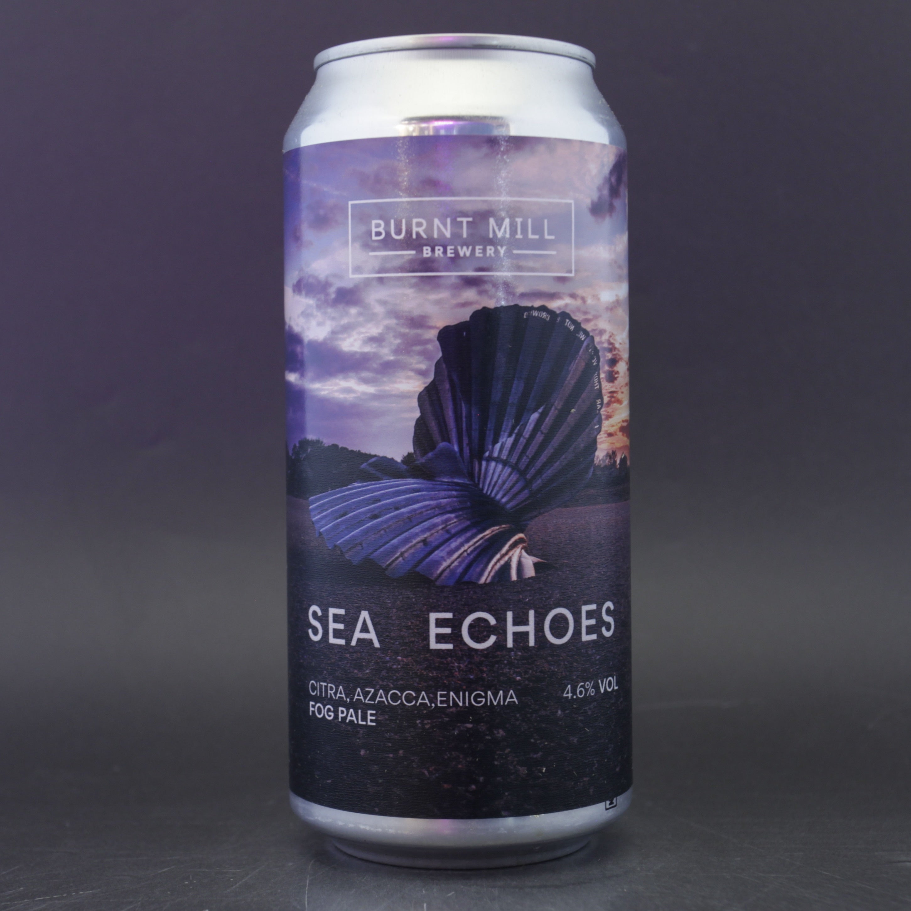 Burnt Mill - Sea Echoes - 4.6% (440ml) - Ghost Whale