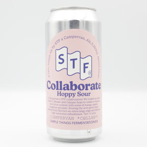This is a can of Simple Things Fermentations / Campervan - Hoppy Sour - 5.1% (440ml). It is a Sour craft beer available to buy from Ghost Whale, voted London's best craft beer shop.