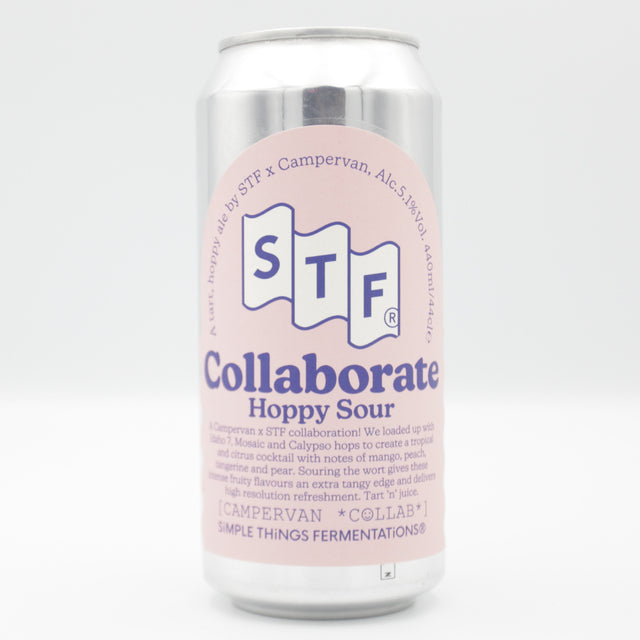 This is a can of Simple Things Fermentations / Campervan - Hoppy Sour - 5.1% (440ml). It is a Sour craft beer available to buy from Ghost Whale, voted London's best craft beer shop.