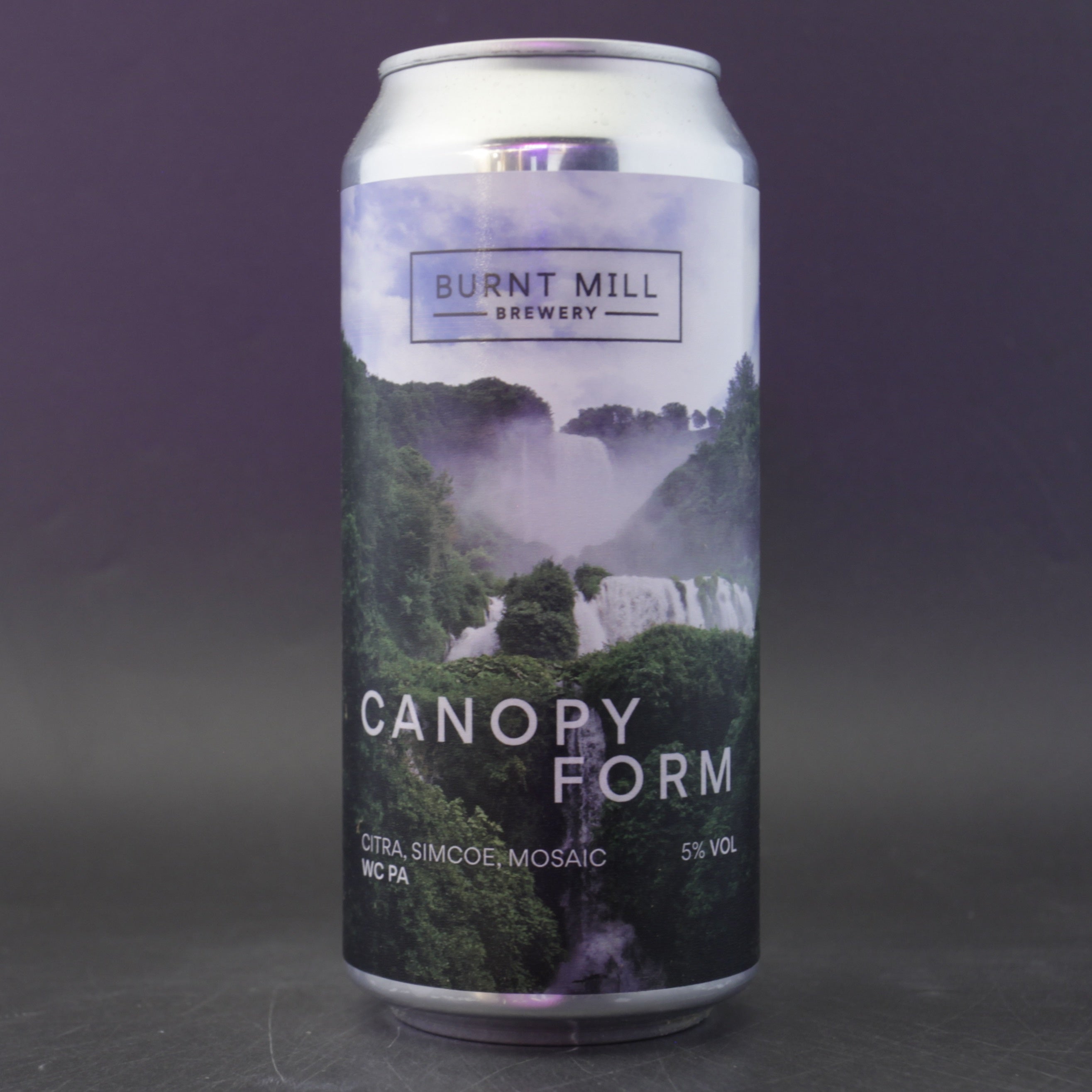 Burnt Mill - Canopy Form - 5% (440ml) - Ghost Whale