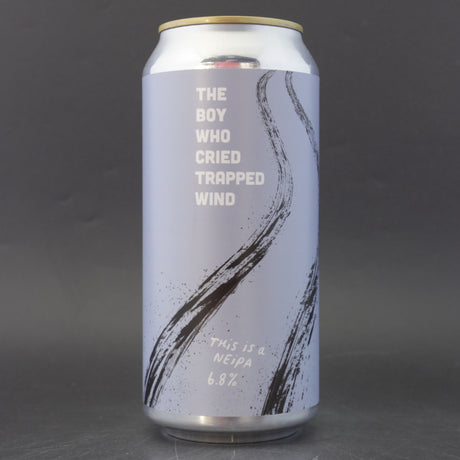 This is a can of Pretty Decent - The Boy Who Cried Trapped Wind - 6.8% (440ml). It is a IPA craft beer available to buy from Ghost Whale, voted London's best craft beer shop.