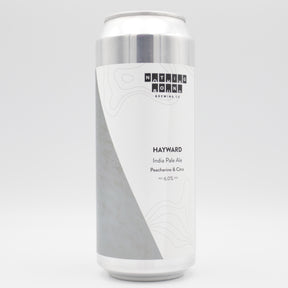 This is a can of Nothing Bound - Hayward - 6% (500ml). It is a IPA craft beer available to buy from Ghost Whale, voted London's best craft beer shop.