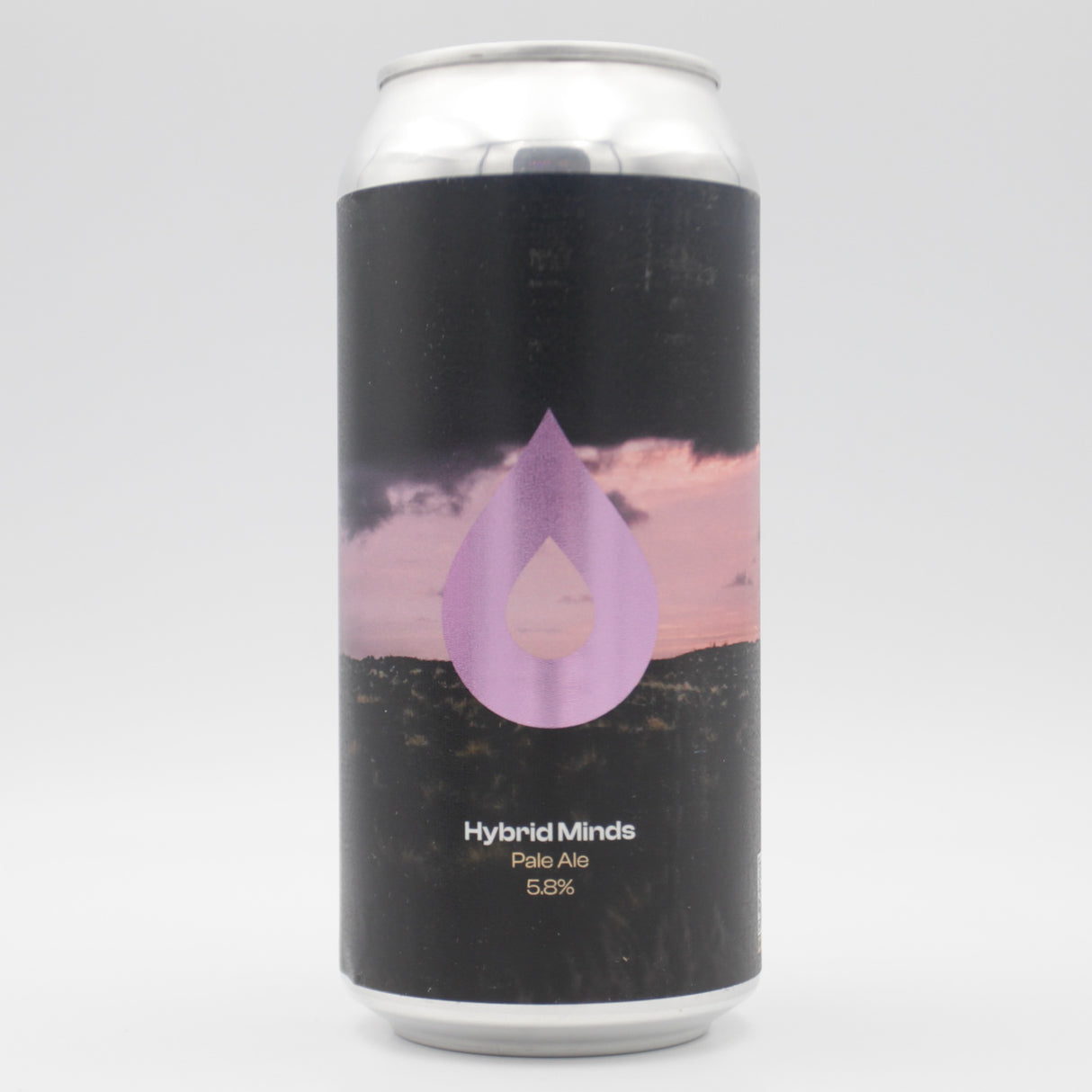 This is a can of Polly's Brew Co - Hybrid Minds - 5.8% (440ml). It is a Pale Ale craft beer available to buy from Ghost Whale, voted London's best craft beer shop.