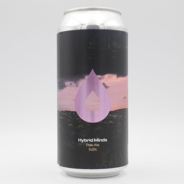 This is a can of Polly's Brew Co - Hybrid Minds - 5.8% (440ml). It is a Pale Ale craft beer available to buy from Ghost Whale, voted London's best craft beer shop.