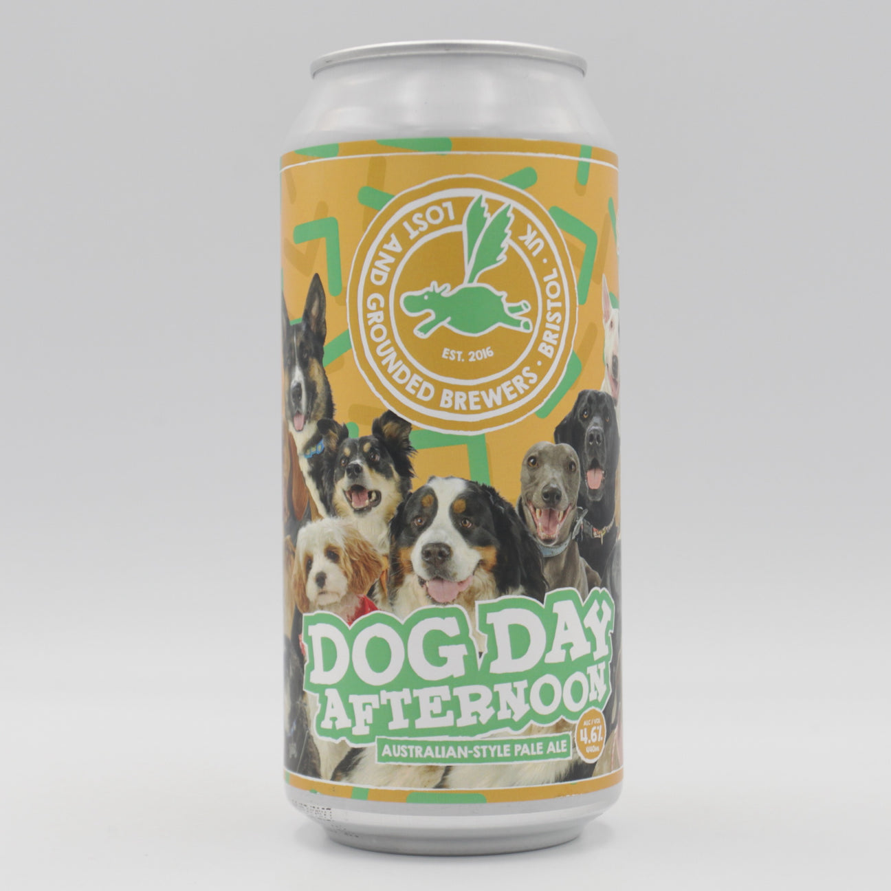 This is a can of Lost and Grounded - Dog Day Afternoon 2026 - 4.6% (440ml). It is a Pale Ale craft beer available to buy from Ghost Whale, voted London's best craft beer shop.
